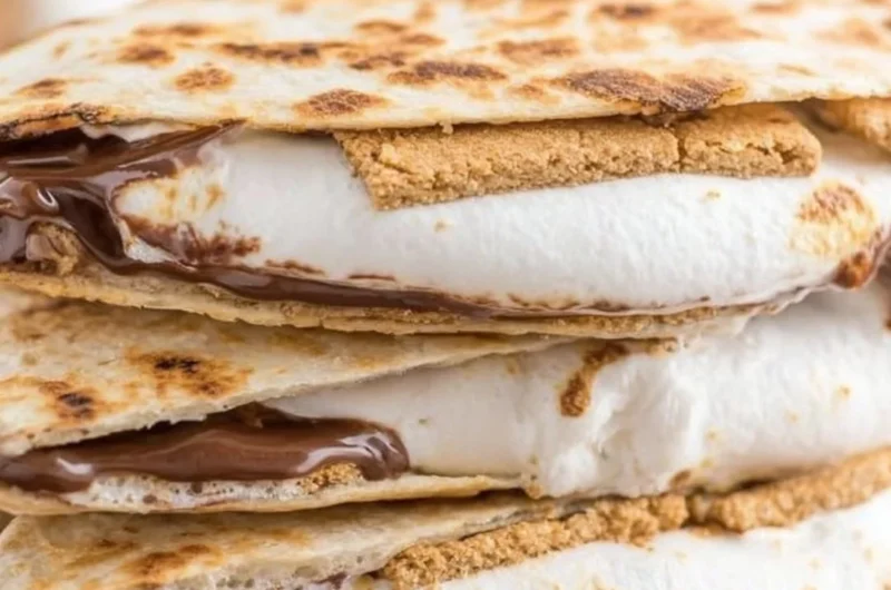 Delicious S'mores Tortilla filled with chocolate, marshmallows, and graham crackers