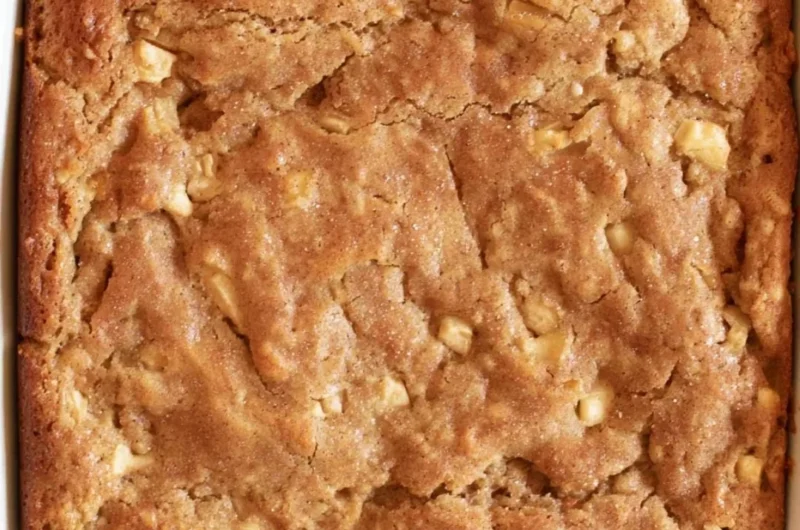 Slice of homemade Amish Apple Cake with apples and cinnamon on a wooden table